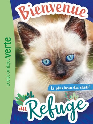 cover image of Le plus beau des chats !